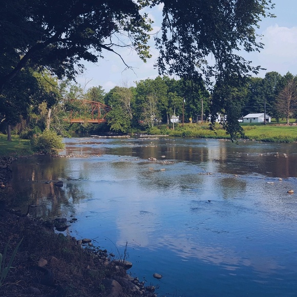 Meet your Posher, Catherine - Picture 1 of 1